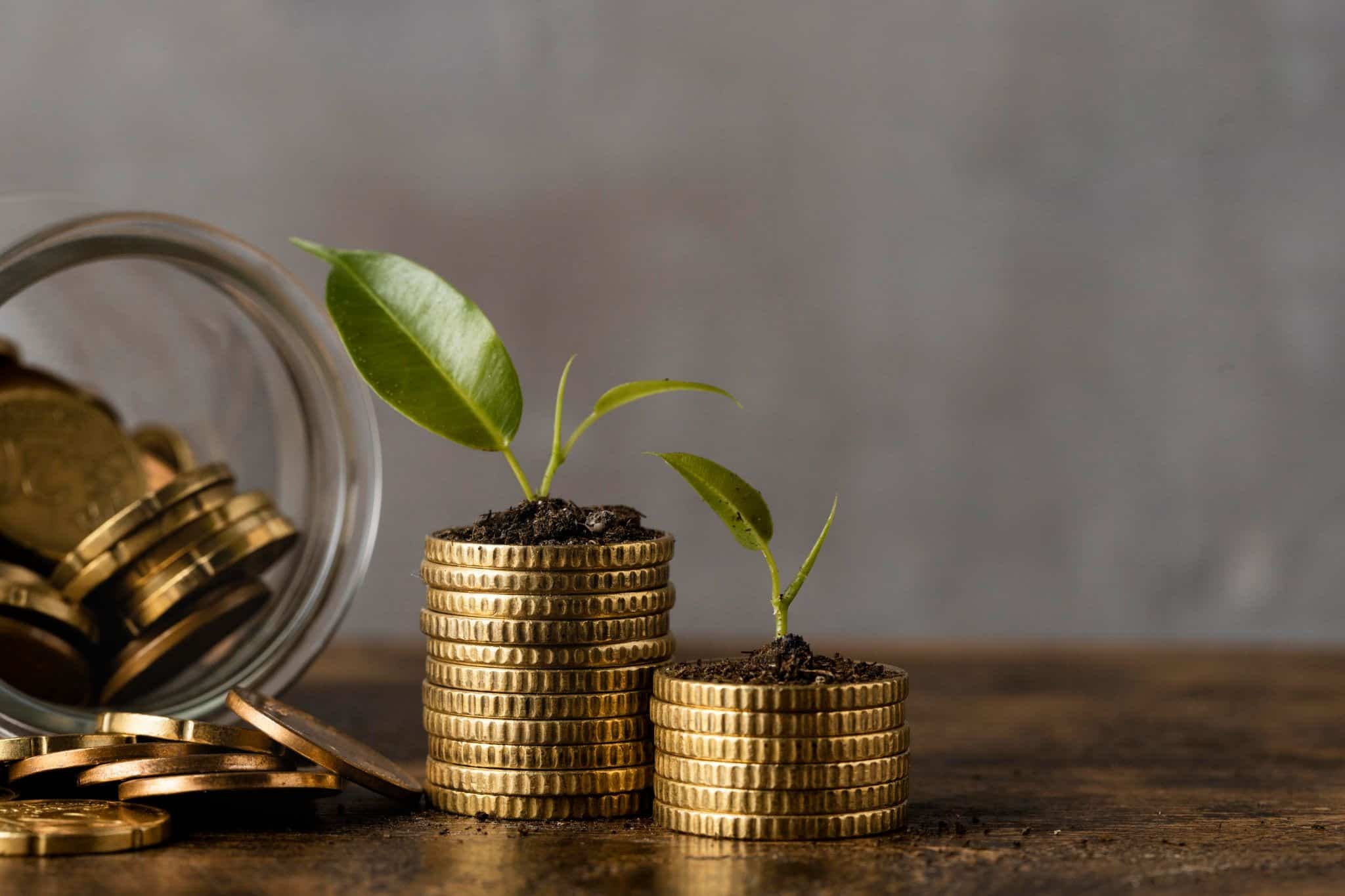 Why Invest in Gold?